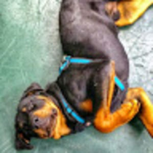 Meet your Posher, John